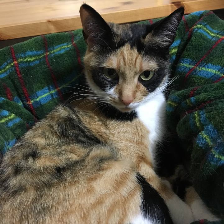 7d1b8e81 abfb 461e bee1 f0ac5be5ac1c