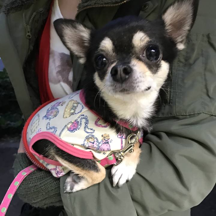 7d1c633c 4abc 4a9e ae04 8f9b86cf0d6e