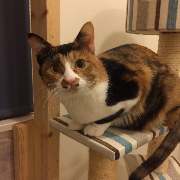 7d1c76fe dfa0 490a b9f9 33aa6b2c60ea