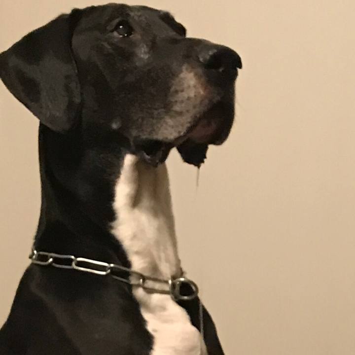 7d1cb463 d986 46da 9abc ebbb4992729b