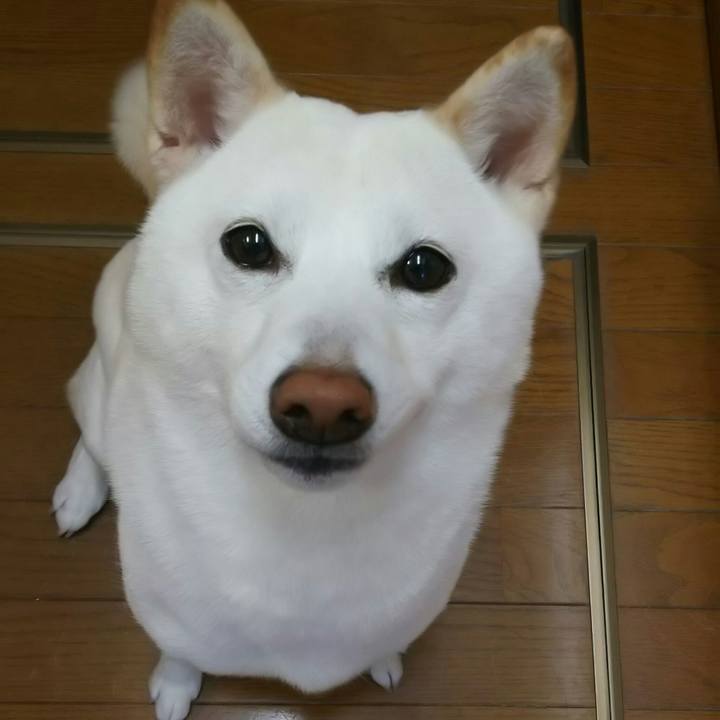 7d1cf2bb 1982 4a6c 87cb a9fe52bb5dd3