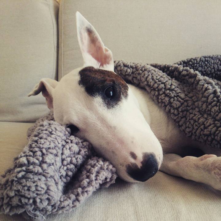 7d1d23a5 658a 4a35 9c66 3cc56ca6c175