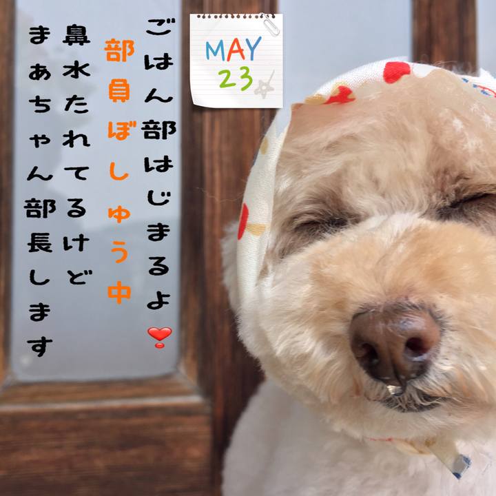 7d1d9e0c eff7 477d b99a bbe915dbc3d4