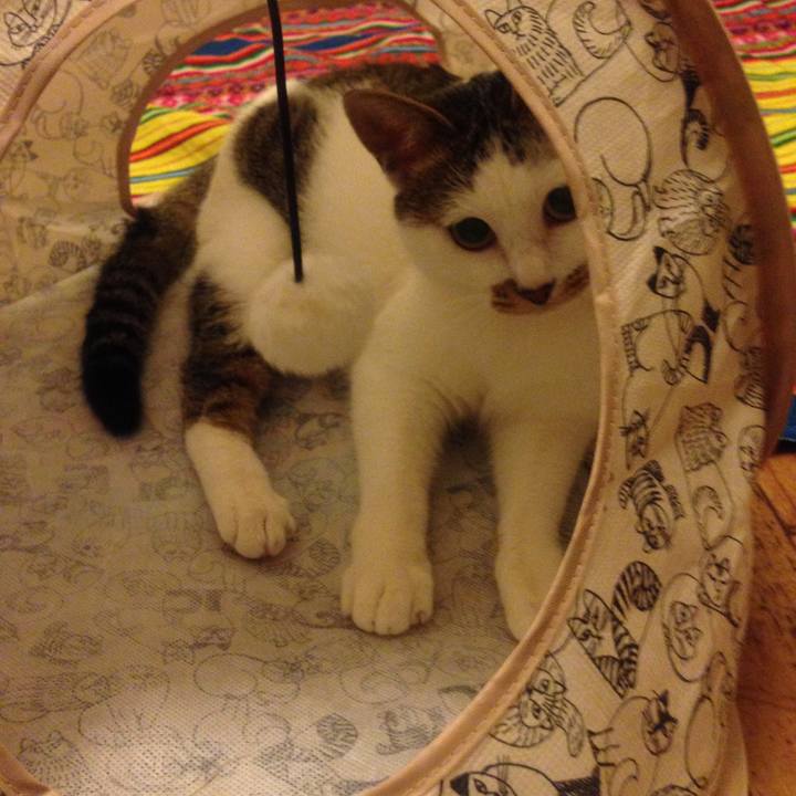 7d1e1875 ba14 47c5 99a4 df4ccff9e8e7