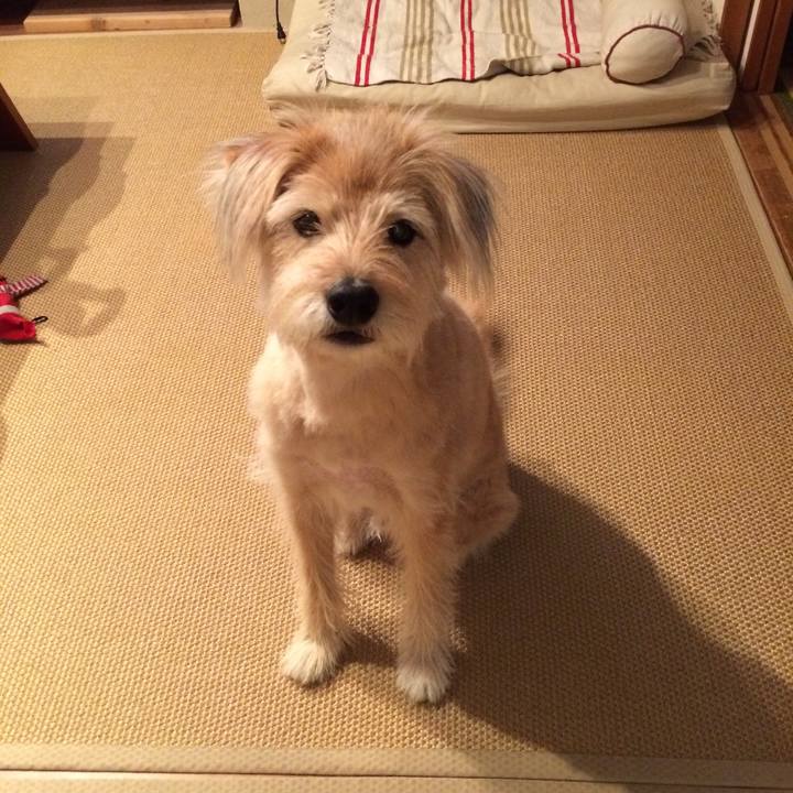 7d1e24d7 0190 4255 96d3 1408274a3e31