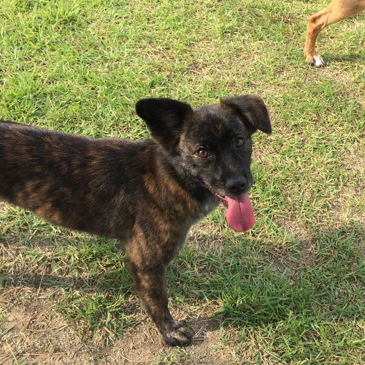 7d1e3673 a97c 4002 ba5d e41dacb966f4