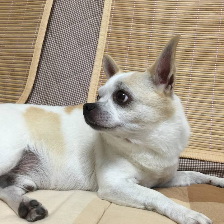 7d1e6716 ab84 434a a015 e24a9c99dd4a