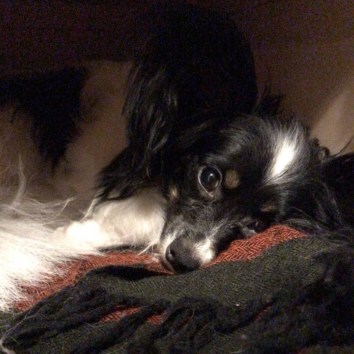 7d1ffde3 5111 40e0 9eab 117a64a04871