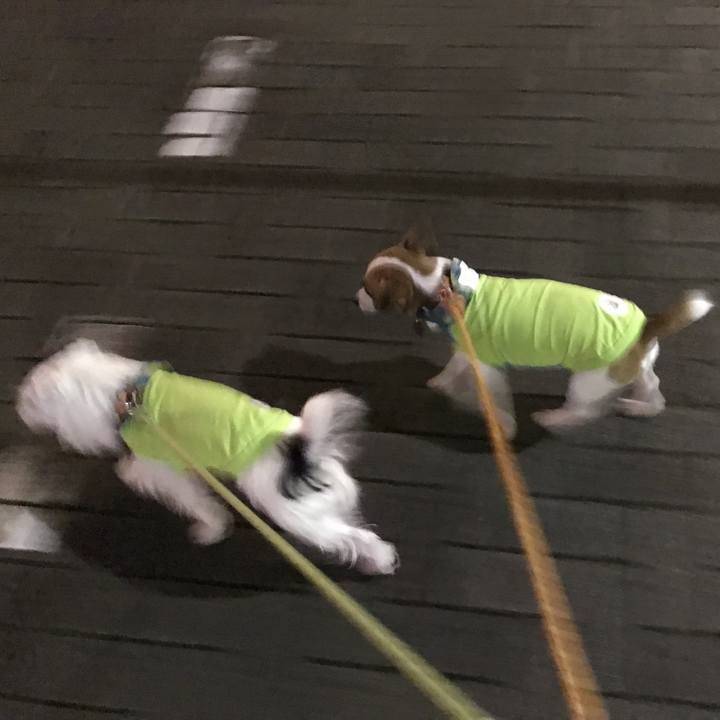 7d202cb9 2386 4fbc 9748 f626df4655fe