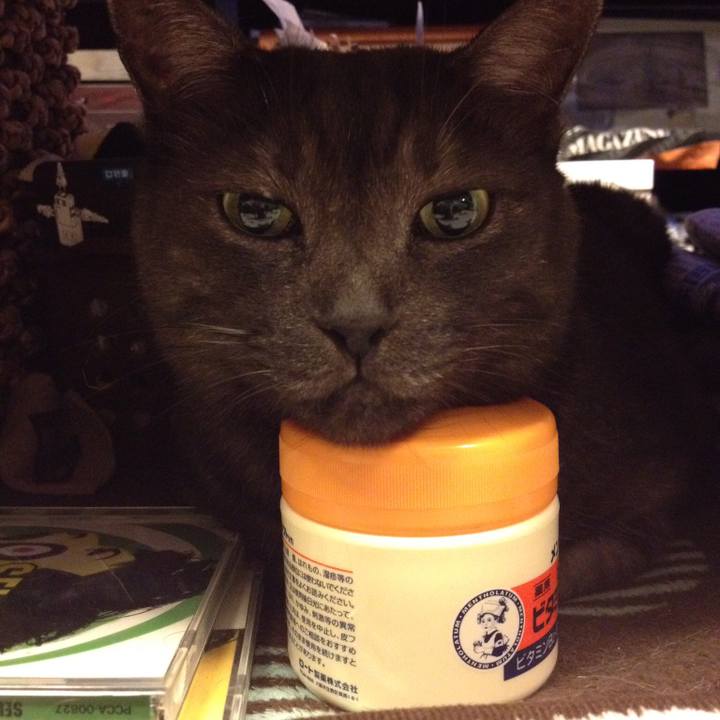 7d207da6 bb7e 48e6 b918 b49f0cc35f9f