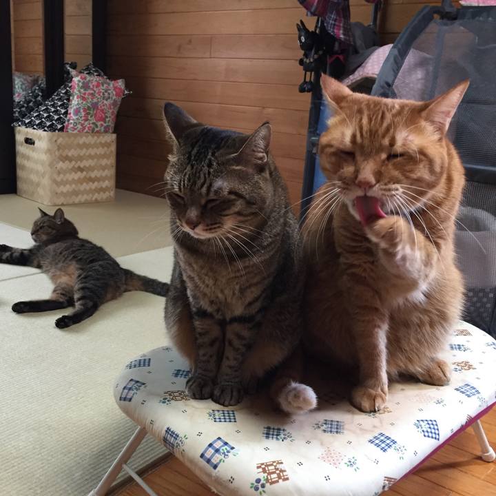 7d219d78 9f9c 461d bb77 7eeb9e25a168