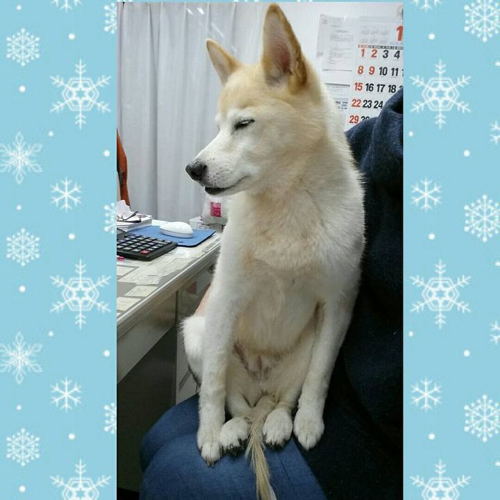 7d21d2af 154c 4f9e b396 7cf2ae55367c