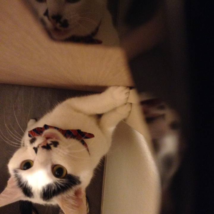 7d226fa5 2da8 4112 bbcf f39ef718b265