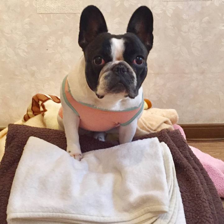 7d2284cc cecf 43d0 b8c3 fd6c40e202f5