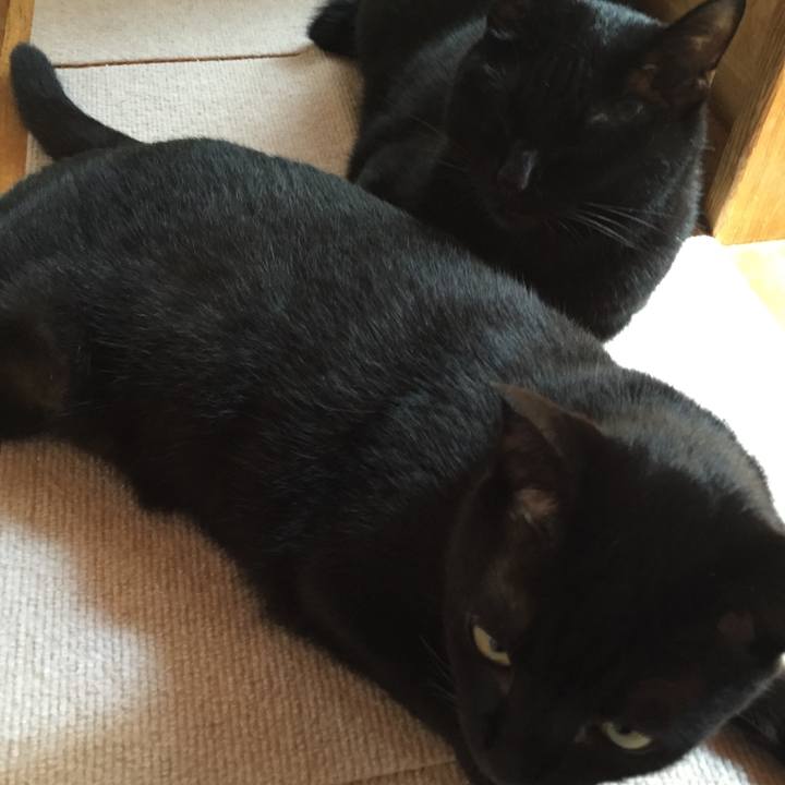 7d234e88 5f74 4464 8cde 6daad12e3c69