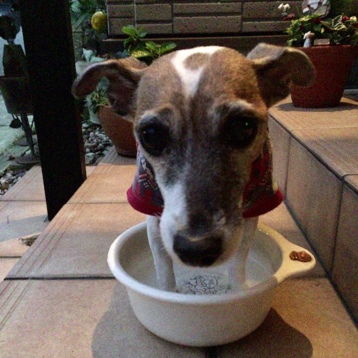 7d235bc8 c5e3 4917 89d6 829ba452337f