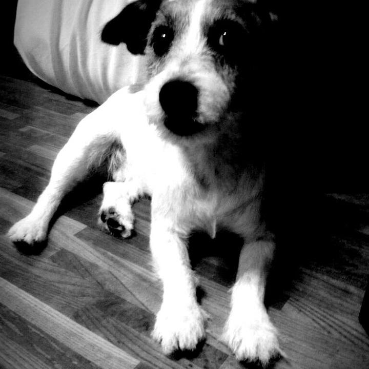 7d23f728 678b 4302 802d dd64856db439