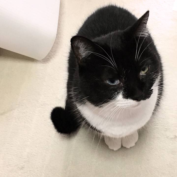 7d24212c 041a 4ee3 8299 36583b624e04