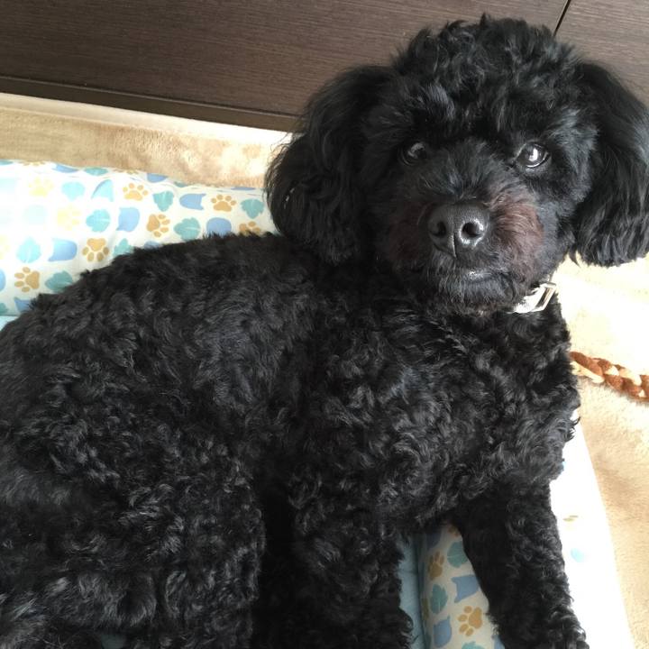 7d24619d 369e 4445 a0d9 acd8573e18cd