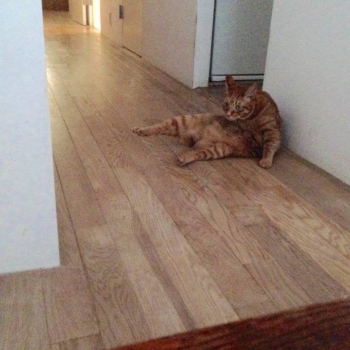 7d253a38 b193 4767 a71a 5767f947e068