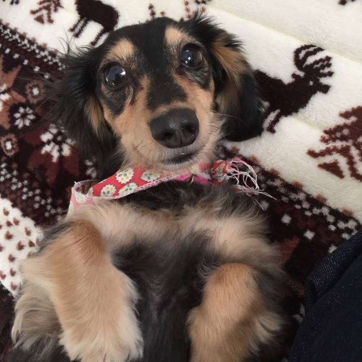 7d254cd3 789d 4726 a0b3 beceb3543bdb