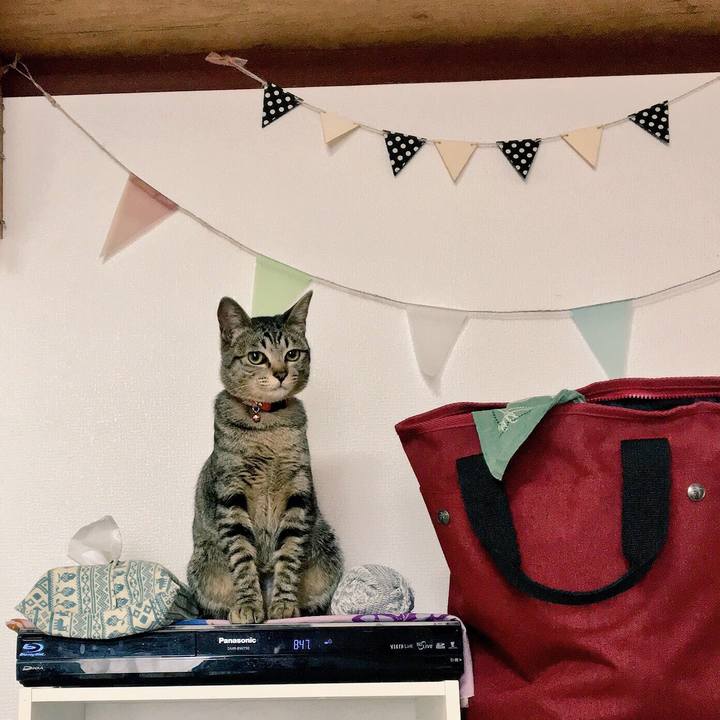 7d25a114 95ac 4664 a4c6 ca0568fd08a7