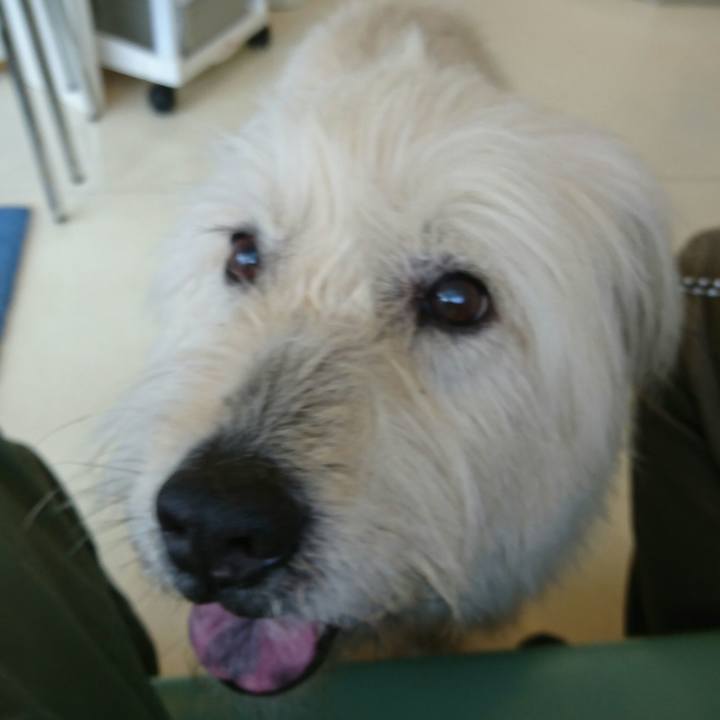 7d25ad26 4459 4717 8350 a0032752afd8