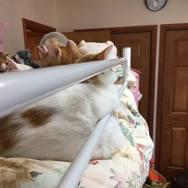 7d2640da cb9c 4c39 a646 c79b24a6afa2