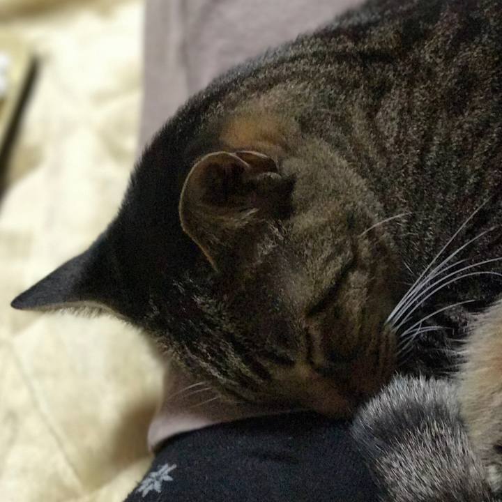 7d265983 d802 4838 bc57 6726602e7f7c