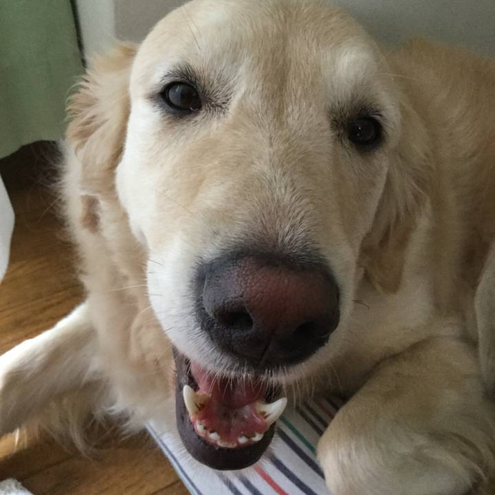 7d26ee31 88cf 4026 9fc3 bfb8b33b4276