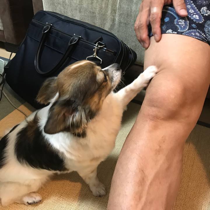 7d270565 cfbe 4523 b792 0f5aa5fa17fc