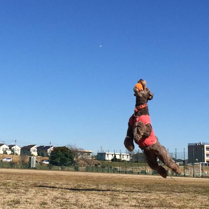 7d279047 739e 432e a100 665a8c43f4e6