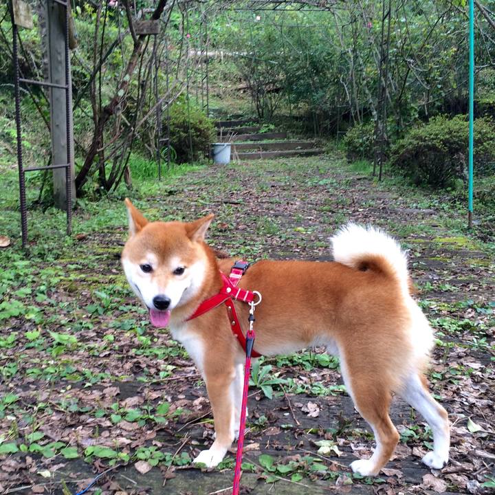 7d2825ae 72ea 4030 8cc1 bd6f98d72534