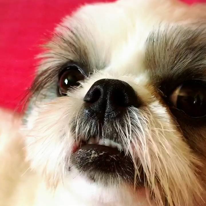 7d2862ed 8575 4257 9849 dc48533189da