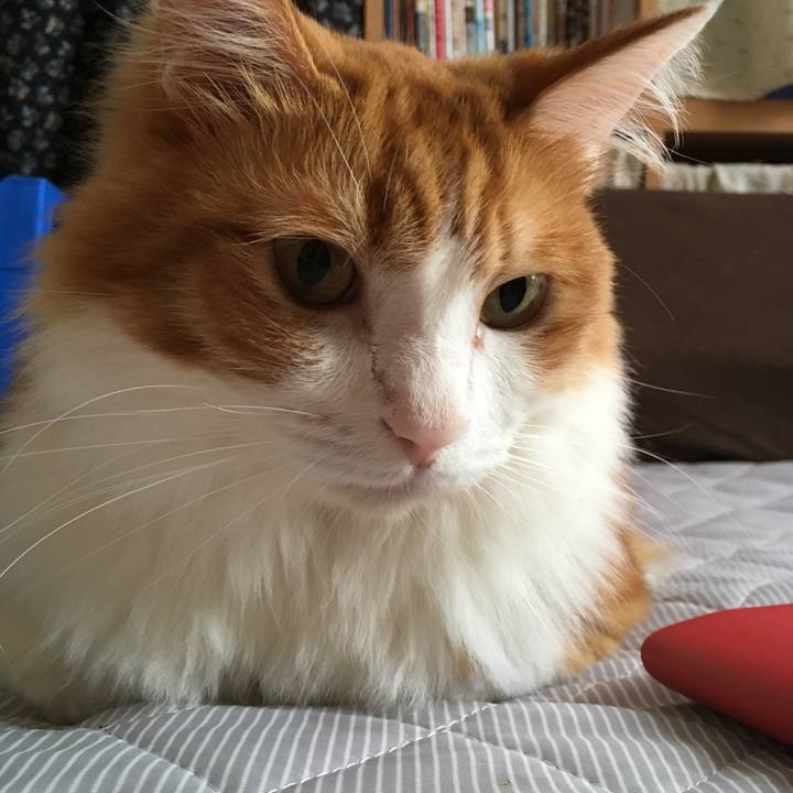 7d2893c2 537c 4a4a 9c10 7546206afb88