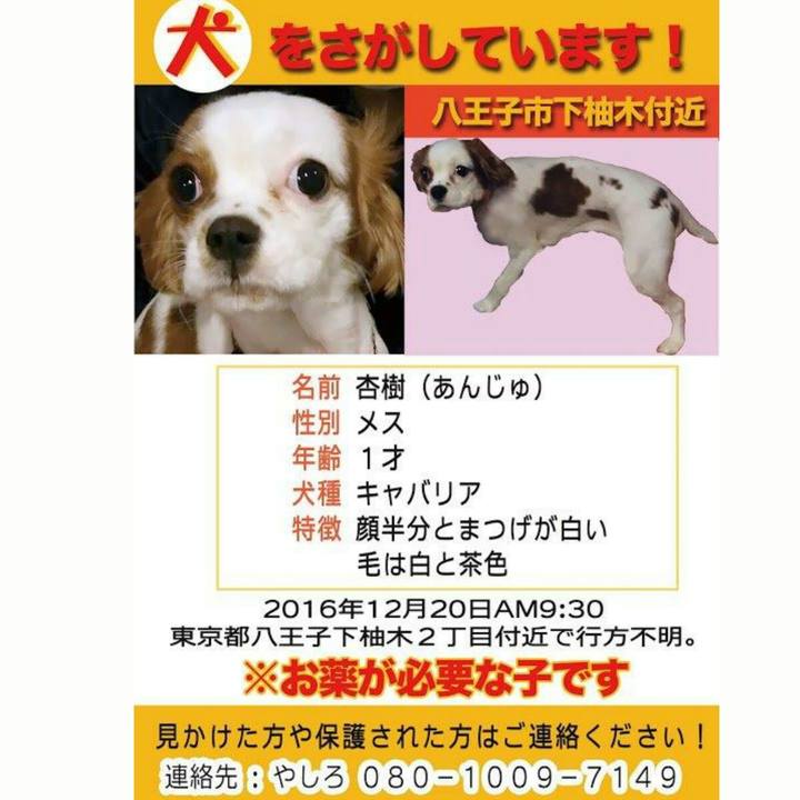 7d28ee79 d6d1 459b 8b12 cbfdb71ddcf6