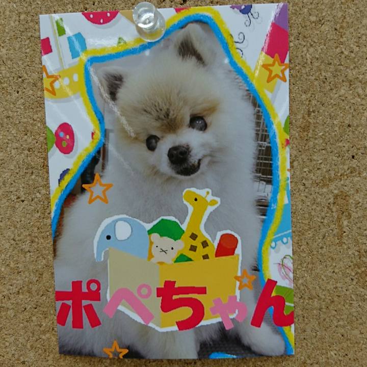 7d291dfe 7e7f 4d40 83c9 a9048fc1c6ac