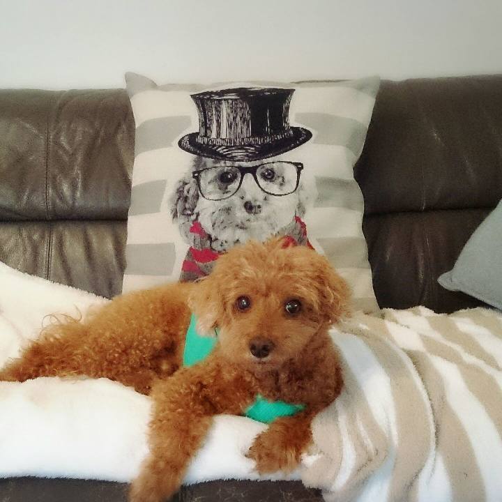 7d2972c0 c53a 4cbb 8277 70077199bcb7