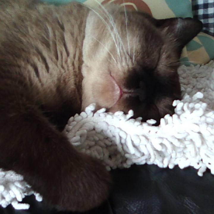 7d29ebc0 20a1 48cd 9277 553437c4fc84