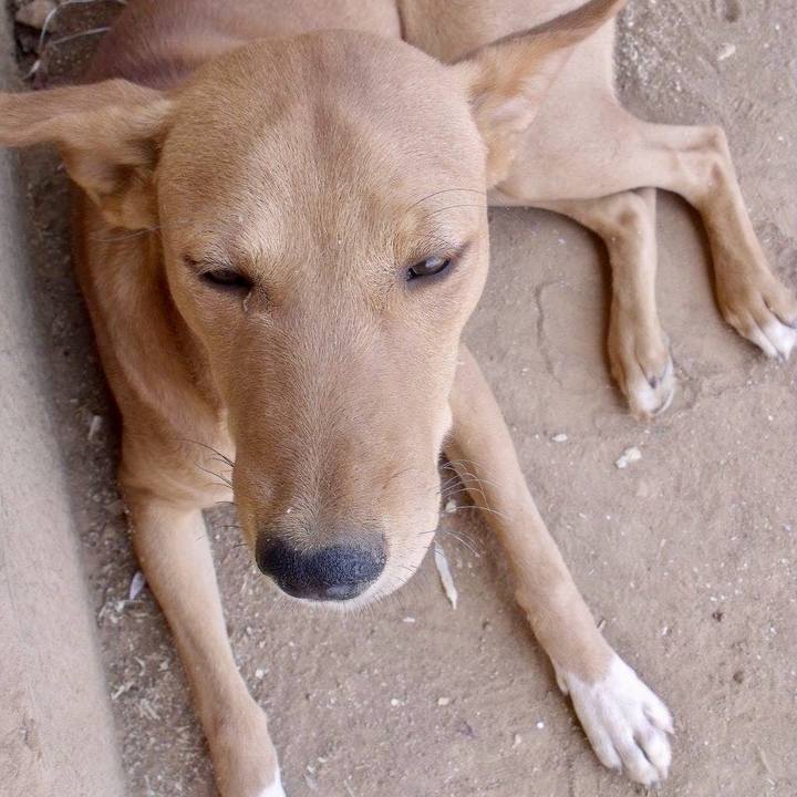 7d2a4370 b5b6 46fb 811f e63fd25edf60