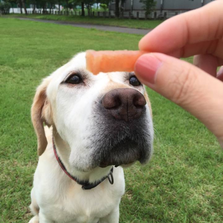 7d2aa1c2 e89f 4ab3 af00 add8338e964b