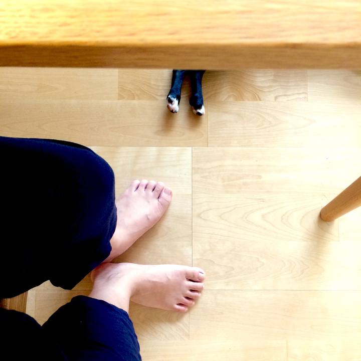 7d2b0f0d 6adf 4693 b626 390370b046b3