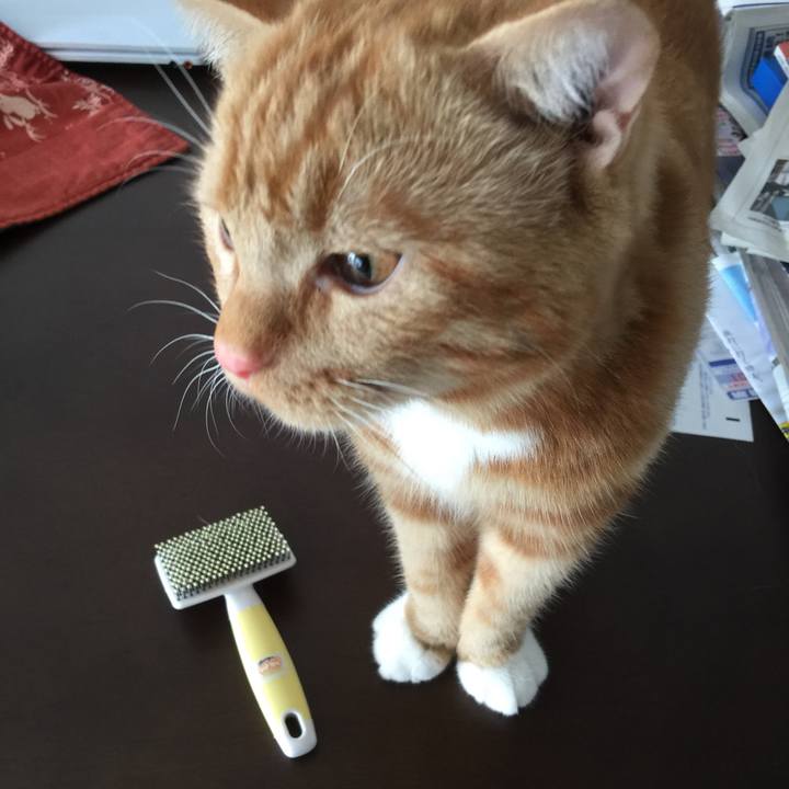 7d2b6e1c 63d8 4c97 a69d 81ff09a95818