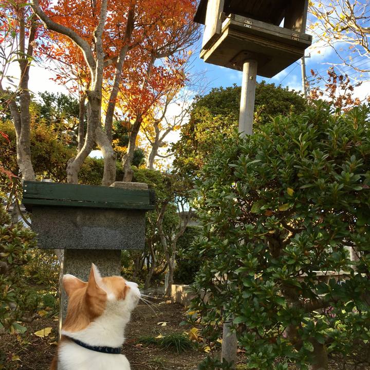 7d2b93cb 7953 49db 92eb f047da6e095f