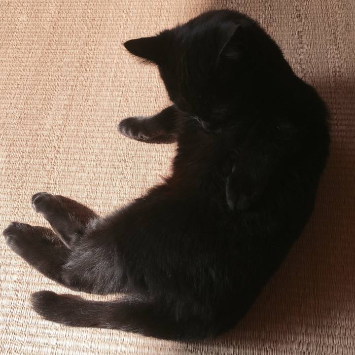 7d2bdb2e dba3 4993 a4de 2c03582fc2f2