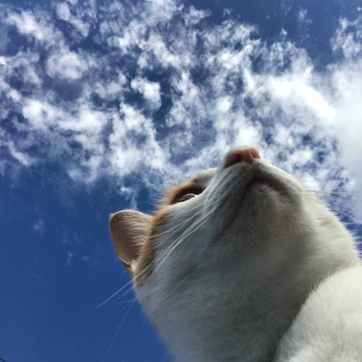 7d2be179 82c0 43a3 b2f4 b8a0a49ee371