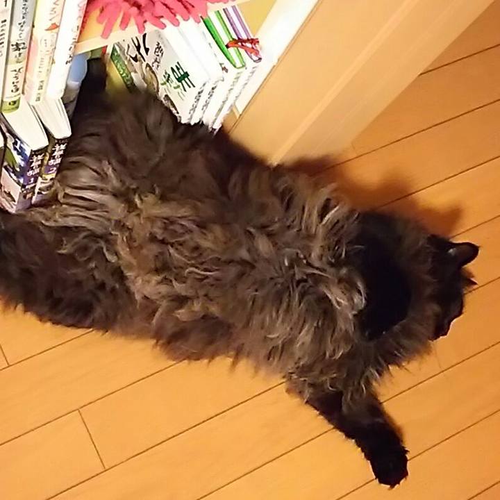 7d2be71f 33b7 437a b74b c5b1c9a3cabb