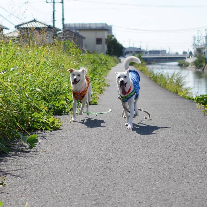 7d2beaea e4a3 49ff 85d1 1b5e9b4c7e3f