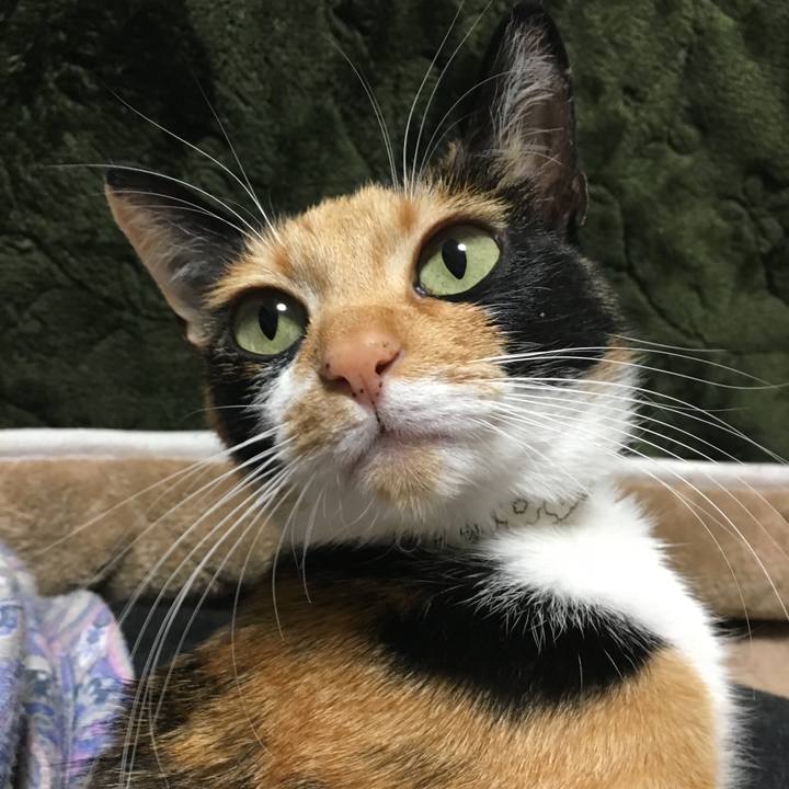 7d2c1fca 66b4 4da5 8f23 b9763f3c082e