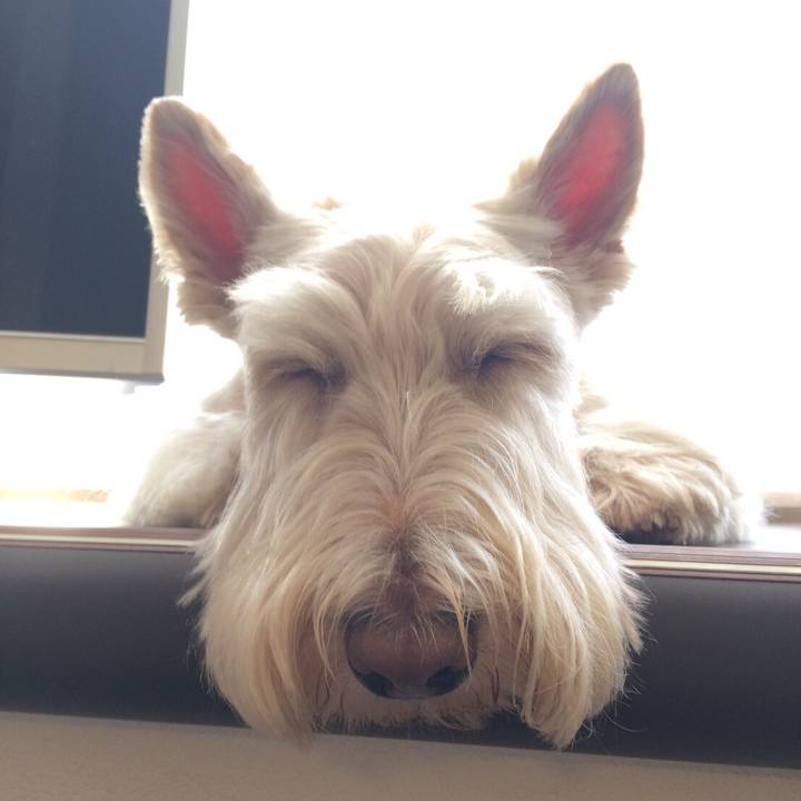 7d2d4a6e 4dc3 4059 a310 f12cae35e698